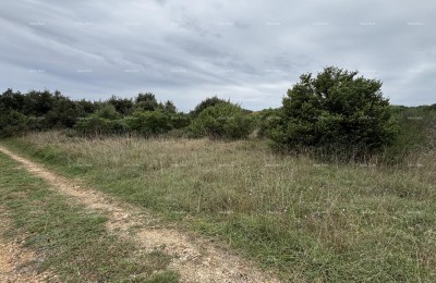 Строительный участок вблизи Пулы, Валелунга