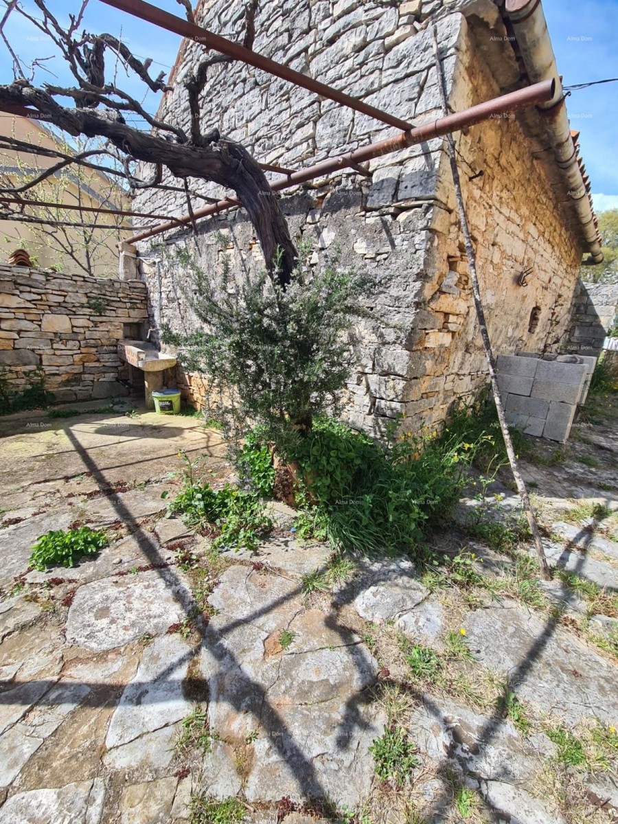 GALIŽANA – hiša z več stavbami in velikim potencialom za prenovo 36