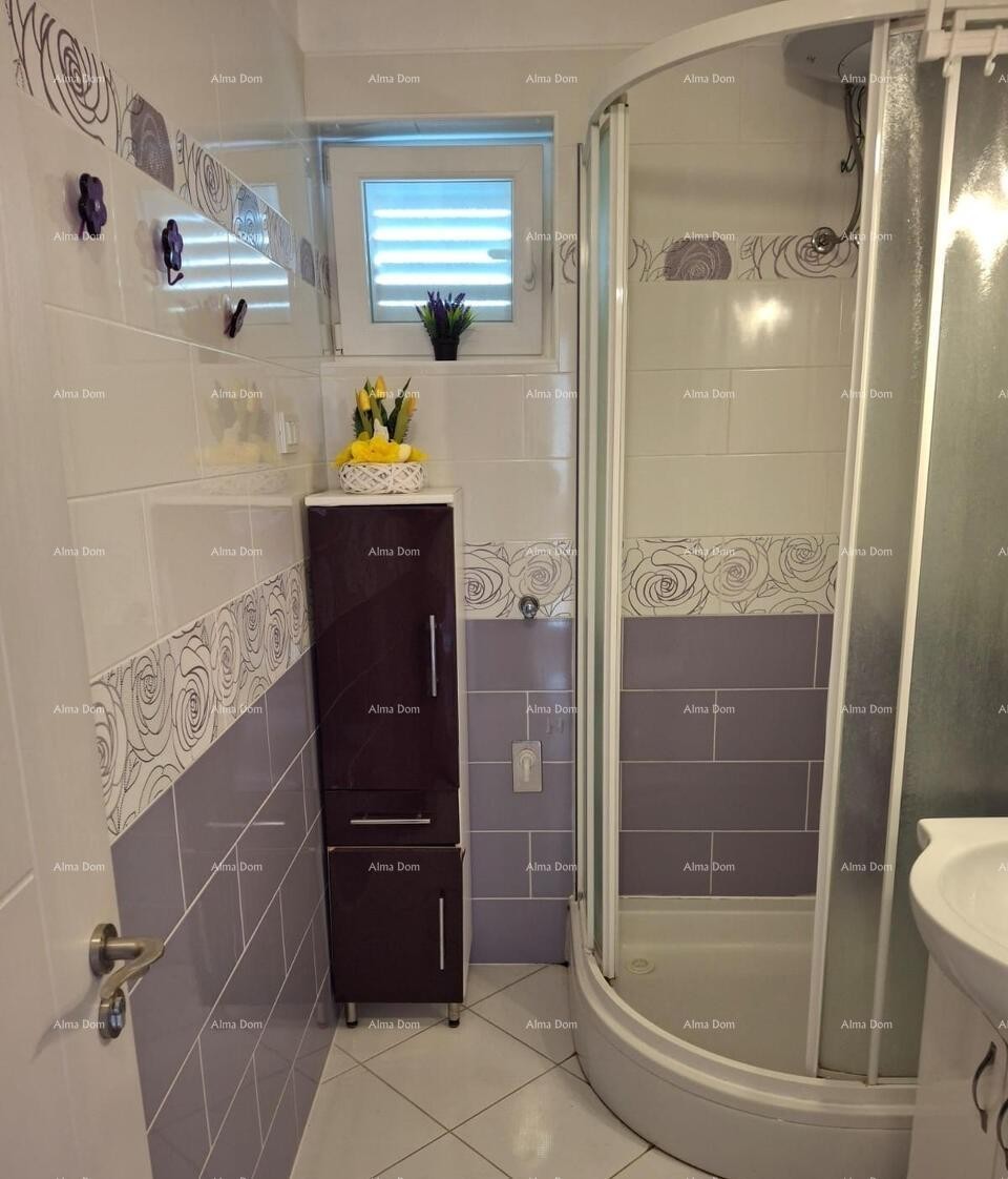 The translation of the title 13