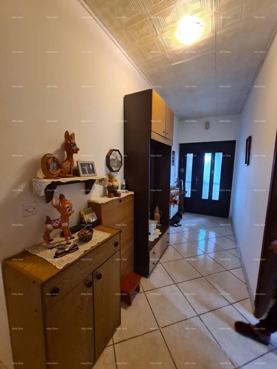 Prodamo hišo z velikim dvoriščem, Jadreški 4