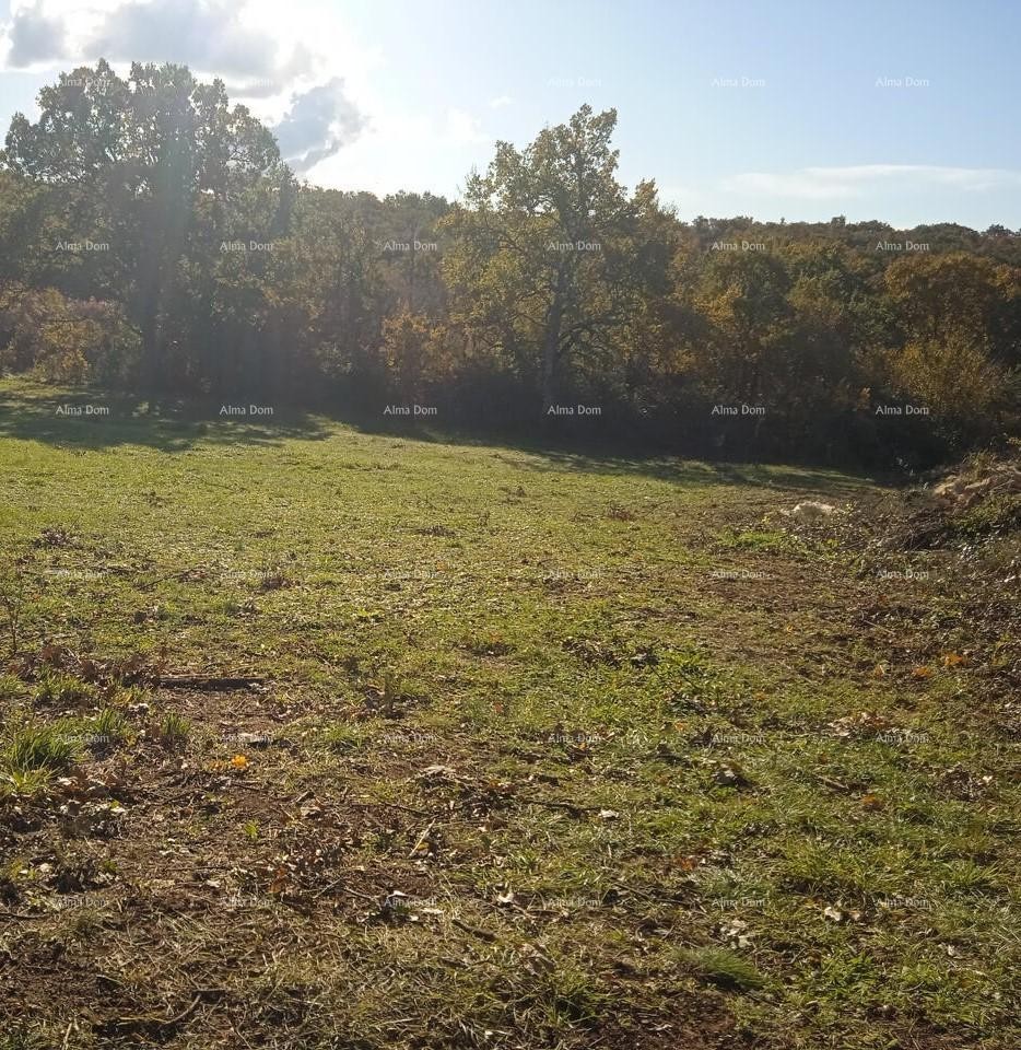 Prodamo zazidljivo zemljišče na mirni lokaciji, Kaštel 1