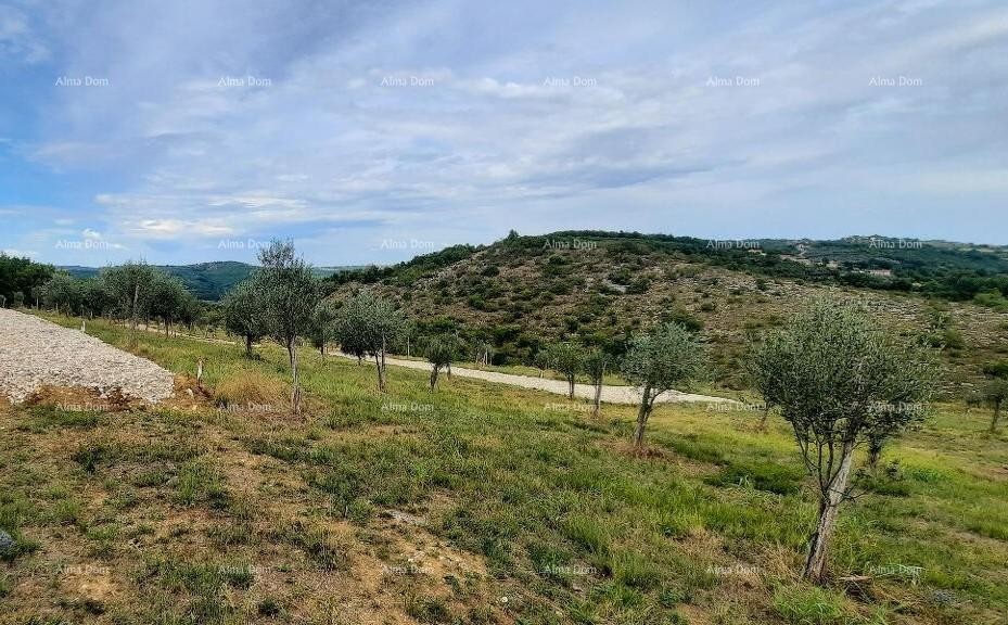 Momjan – sale of construction land in an excellent location. 1