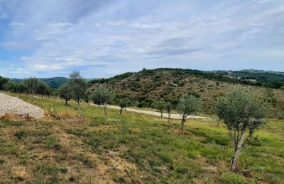 Momjan – sale of construction land in an excellent location.