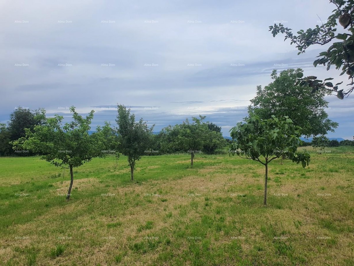Семейный дом с гаражом, погребом и возможностью покупки дополнительного участка земли – 30 минут от Пулы 6