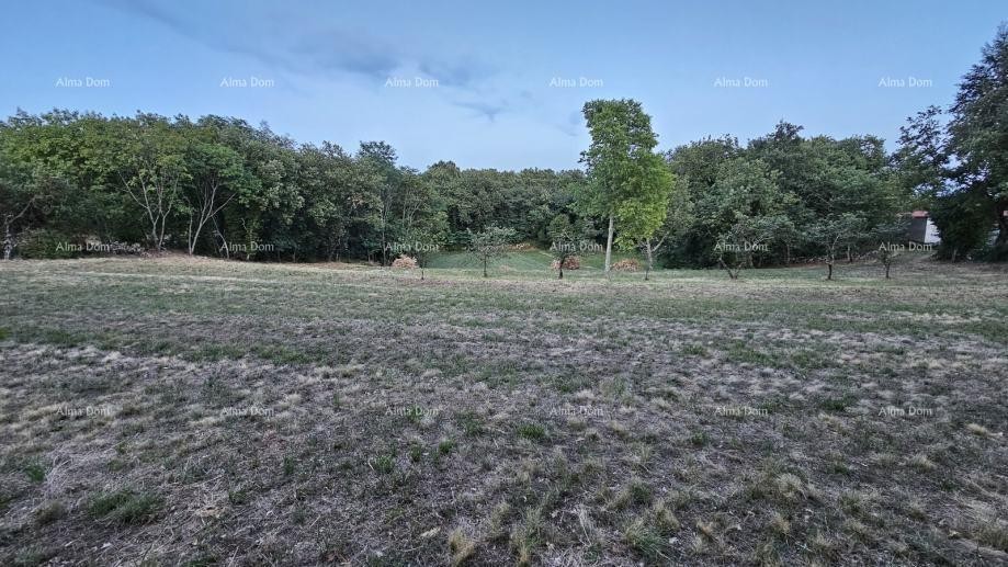 Строительная земля в Тиньяне (Истрия), 3.623 м² 4