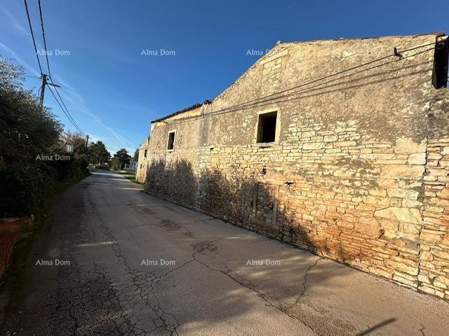 Razvalina v Šišanu 3