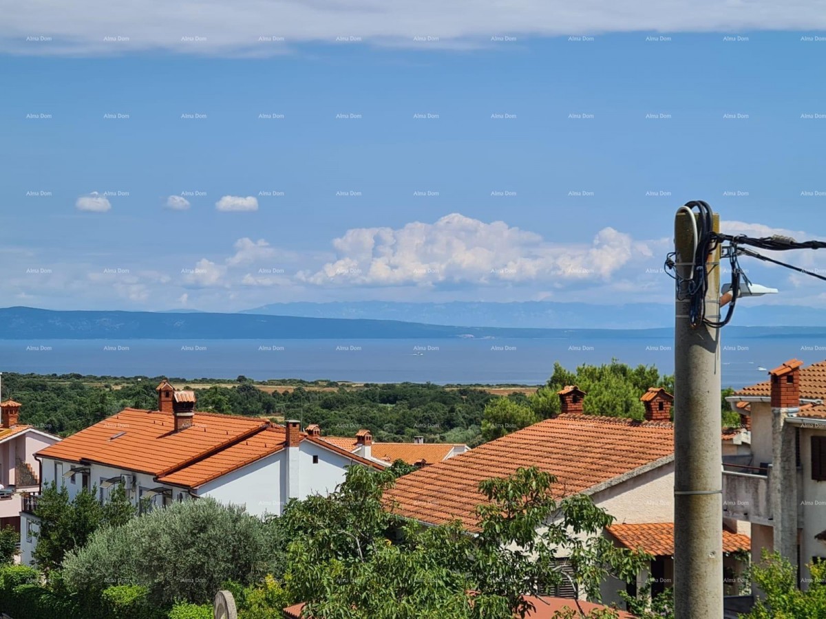 Prodaja kuće s dvije stambene jedinice, pomoćnim objektom i garažom, Ližnjan! 46