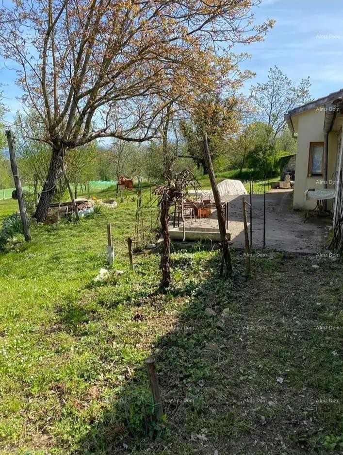 Prodamo hišo in konobo,  Pazin! 6