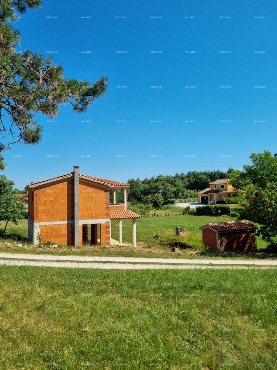 House Pazin 12