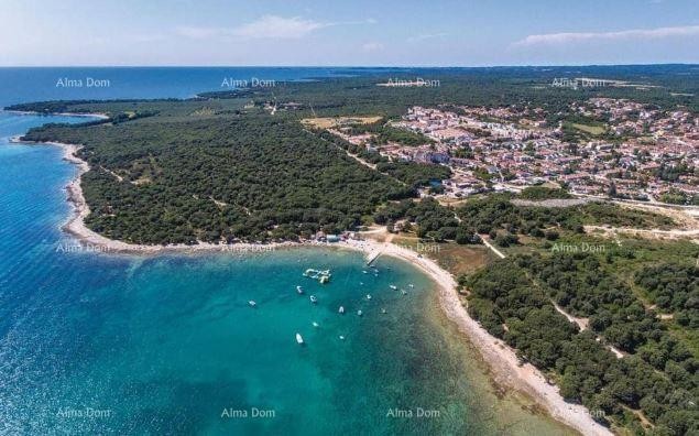 Hiša s tremi ločenimi stanovanji in oljčnikom, le 500 m od morja. 1