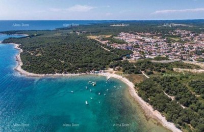 Hiša s tremi ločenimi stanovanji in oljčnikom, le 500 m od morja.