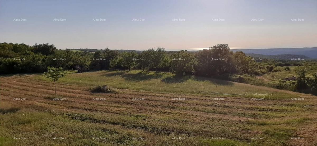 Prodaja stavbnega zemljišča 4