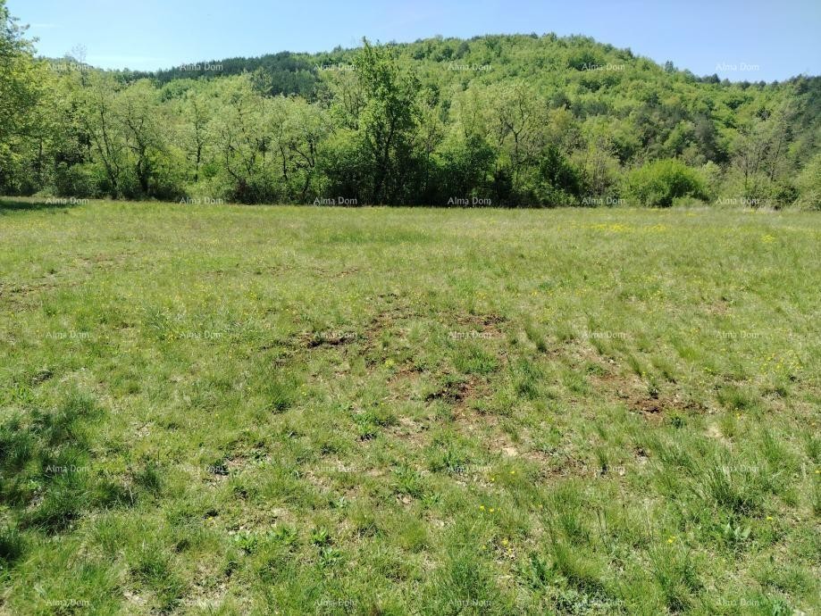 Građevinsko zemljište 3.528 m² ,  u blizini Grožnjana 2
