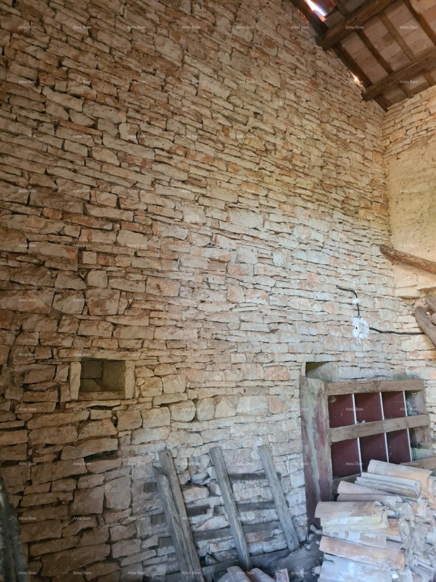 Stancija pri Vodnjanu! Veliko zemljišče 6390 m2!! 10