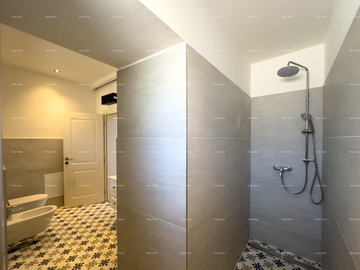 Редкость на рынке!   Istra  Barban 16