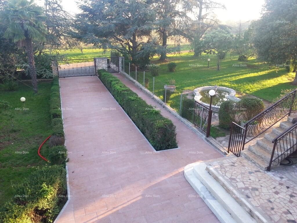 Kuća s tri stana i velikim zemljištem okružena vinogradima i maslinicima 6