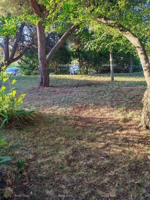 Furnished apartment with garden for sale! 13