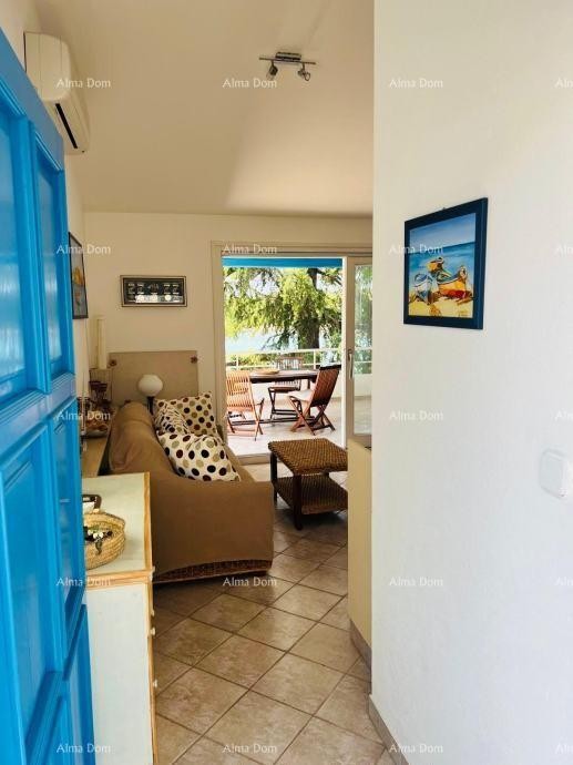 UMAG – FURNISHED APARTMENT 90 m², 30 m FROM THE SEA, WITH GARDEN AND SEA VIEW 4