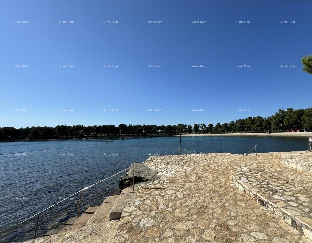 Квартира Novigrad 1