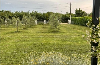 MARČANA! LOBORIKA - CONSTRUCTION LAND WITH OLIVE GROVE