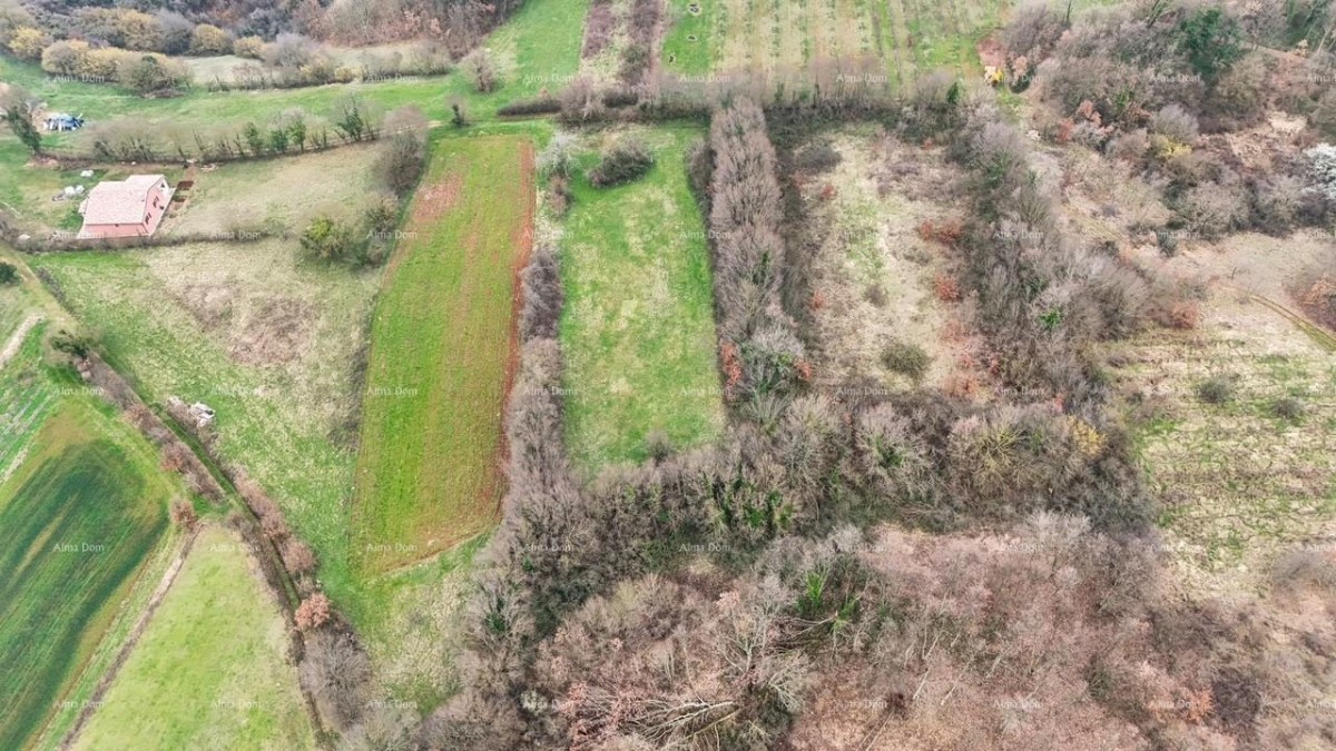 Građevinsko zemljište sa pravomoćnom dozvolom! 4