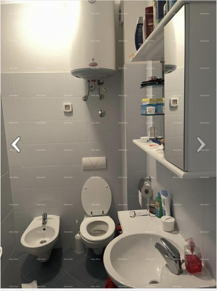 NEW IN OFFER apartment in NOVIGRAD 2