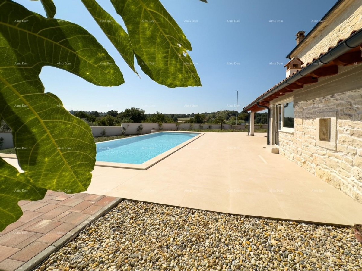 Редкость на рынке!   Istra  Barban 40