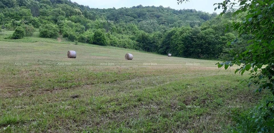 For Sale - Large Estate/Farm in Central Istria, Pazin! Investment Opportunity! 4