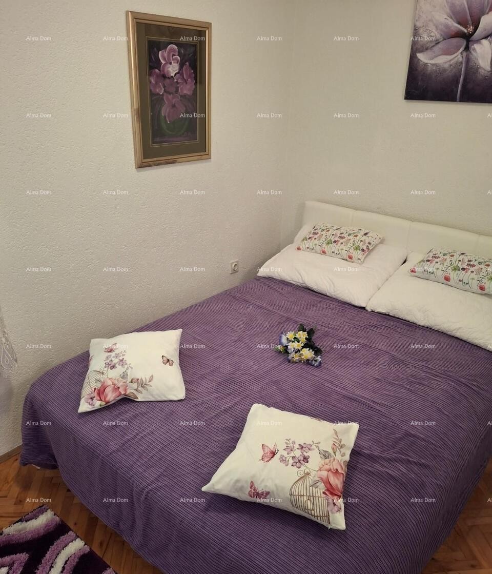 The translation of the title 11