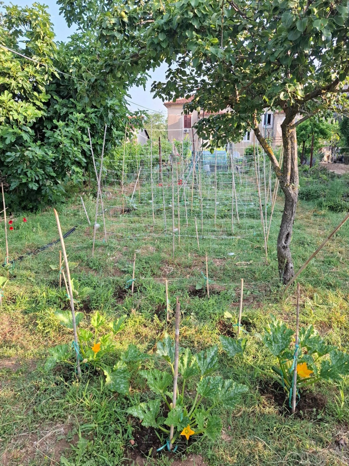 Veruda Spacious three-bedroom apartment with an area of 81 m², Pula 21