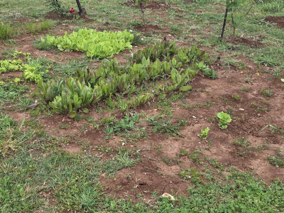 Prodaja zemljišta s  građevinskom dozvolom i projektom, okolica Vodnjana! 22