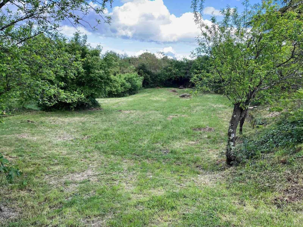 Zemljišče Kanfanar 3