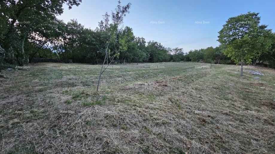 Строительная земля в Тиньяне (Истрия), 3.623 м² 3