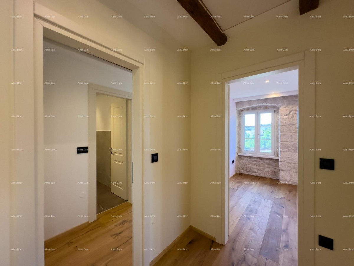 Редкость на рынке!   Istra  Barban 19