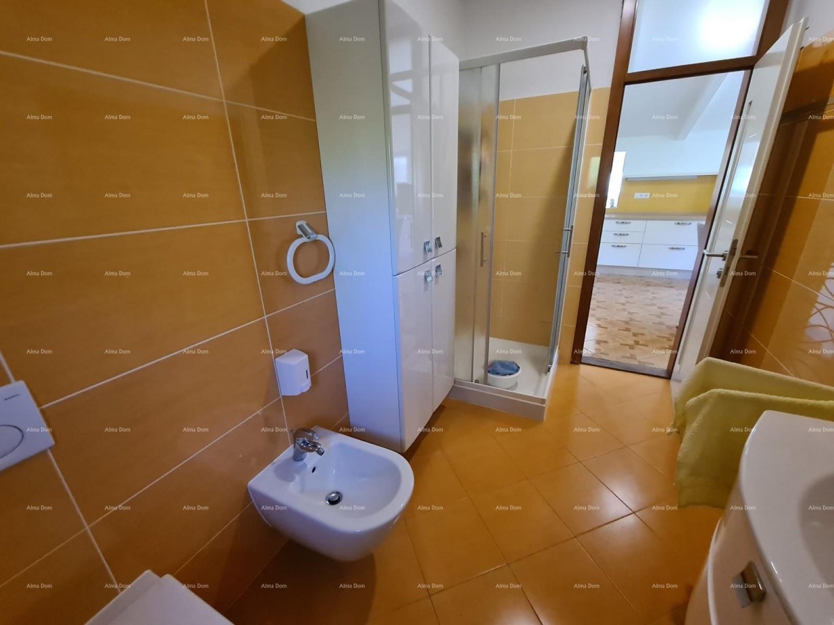 Blizina Ližnjana u malom istarskom mjestu, samostojeća kuća površine 103 m² 20