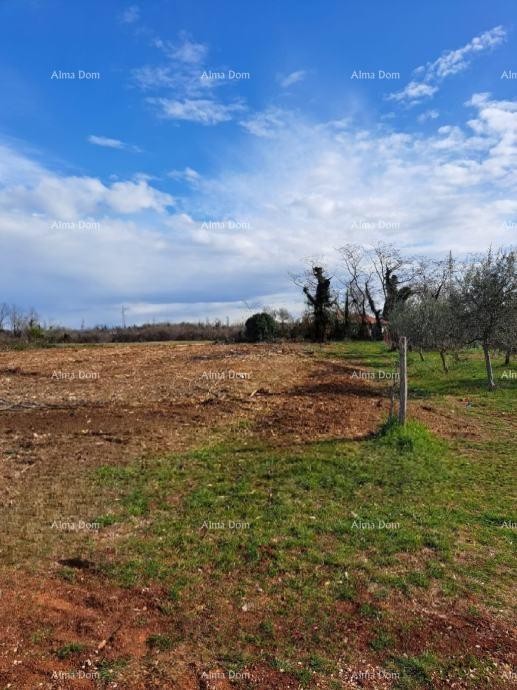 Atraktivno građevinsko zemljište za izgradnju stambene zgrade, Umag – 500 m od mora! 4