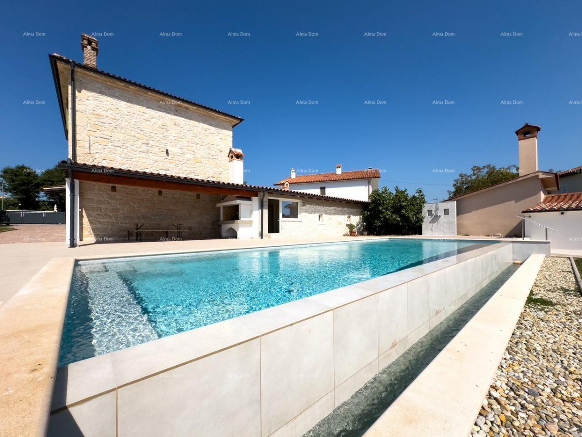 Редкость на рынке!   Istra  Barban 2