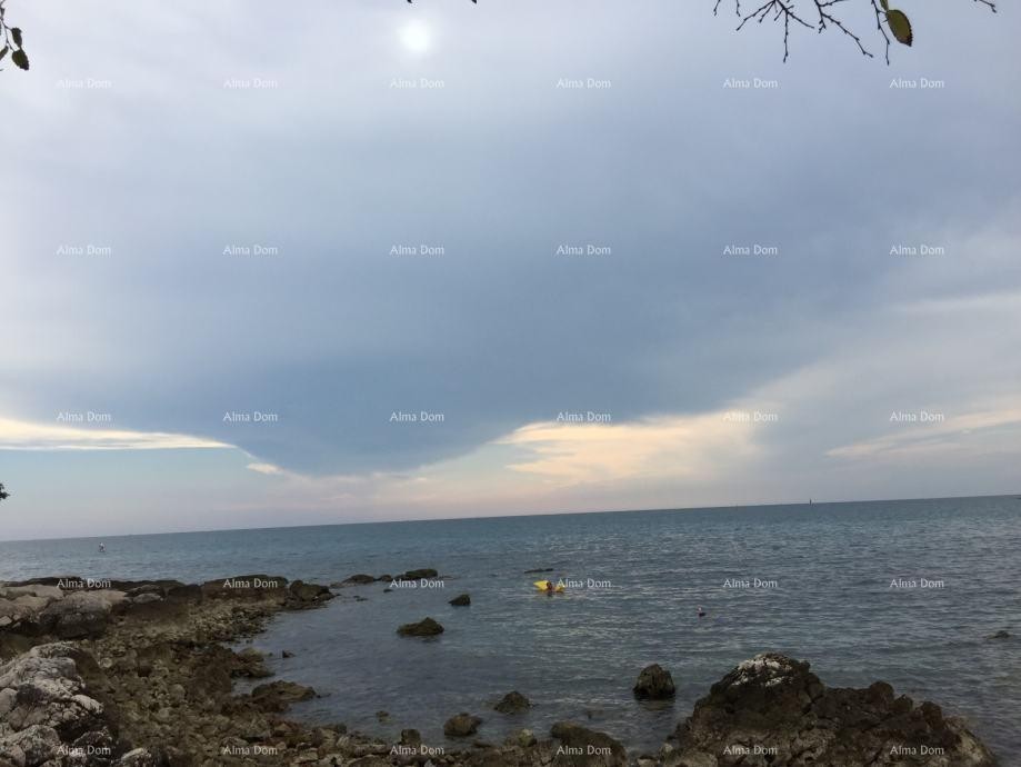 Prodaje se kuća na velikoj okućnici sa projektom, Zambratija, Umag 2