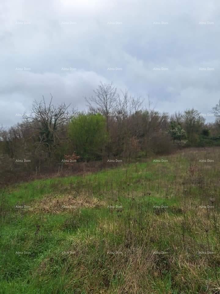 Construction and agricultural land for sale, near Žminj 3