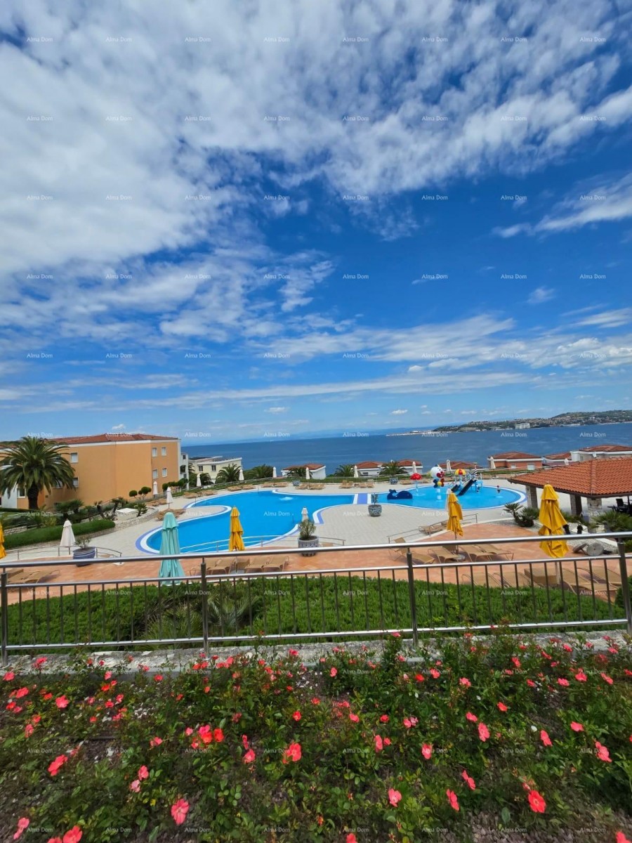 UMAG. Rezidencija Skiper 1
