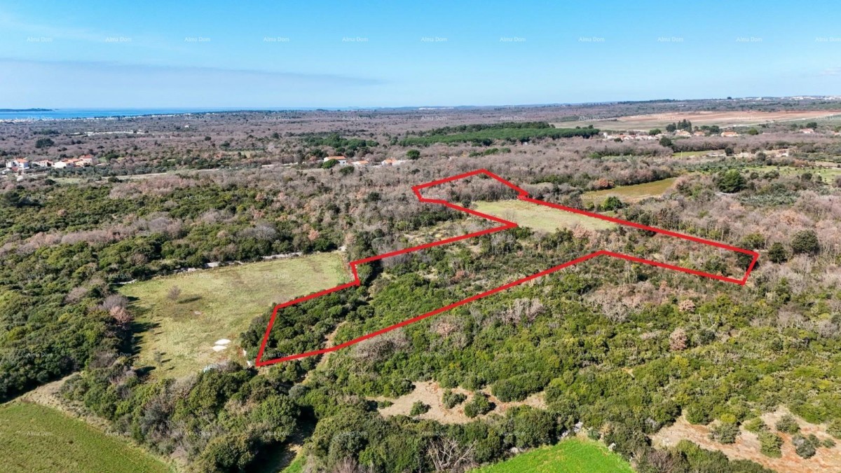 GALIŽANA - Prodaje se veliko poljoprivredno zemljište – 20.498 m², odlična lokacija 6