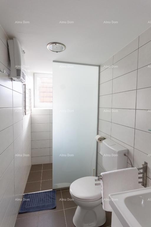 Пула! Центр! 3