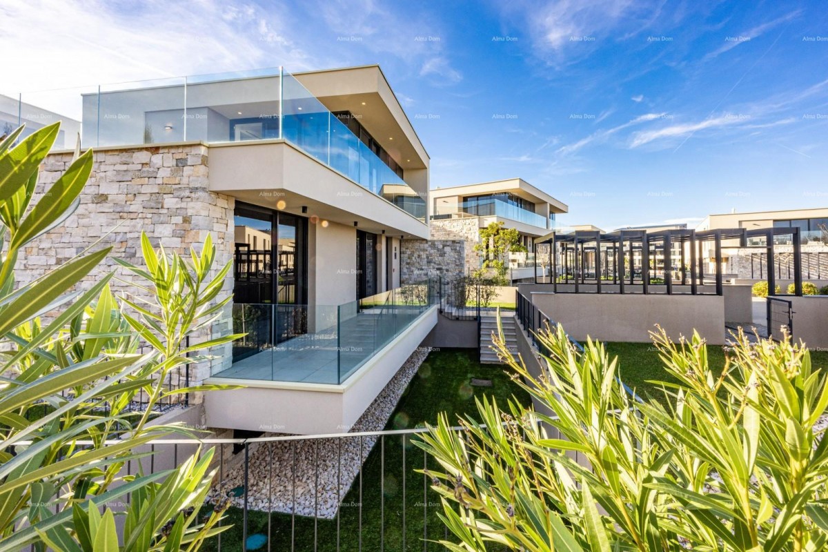House Umag 40