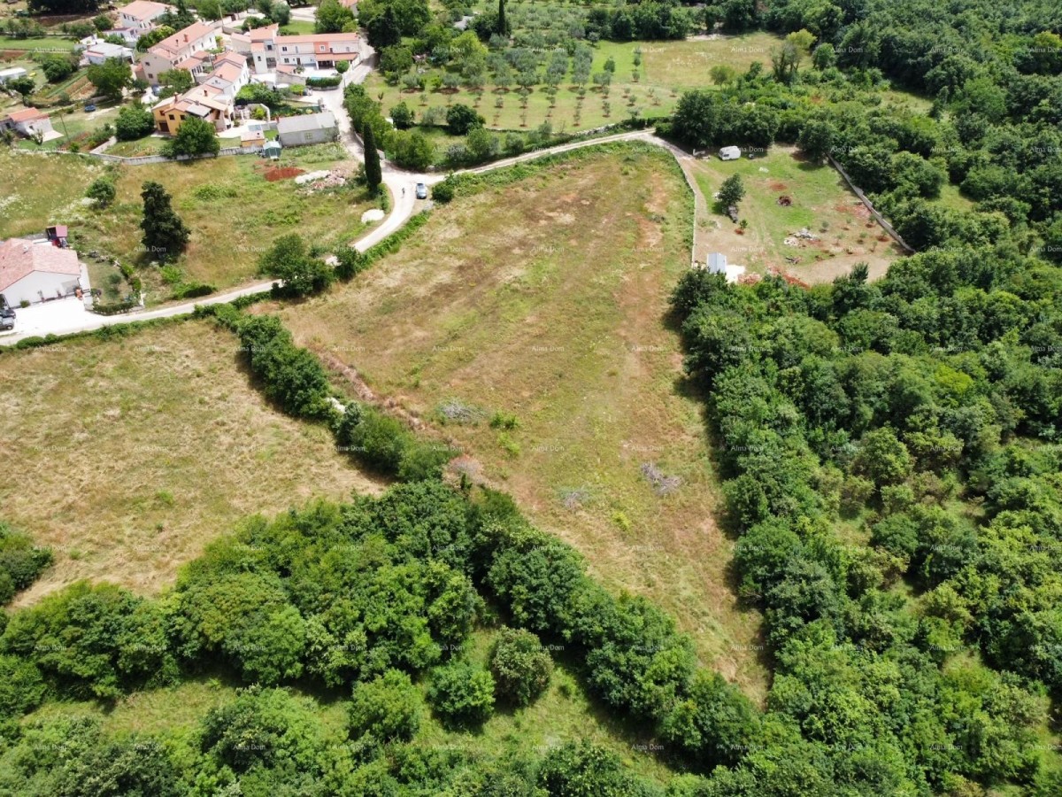 Proximity to Vodnjan! Plots with building permits! 5