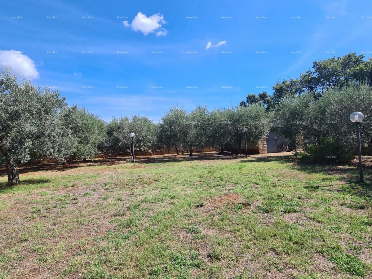 Каменная вилла с двумя дополнительными домами! Galižana! 3