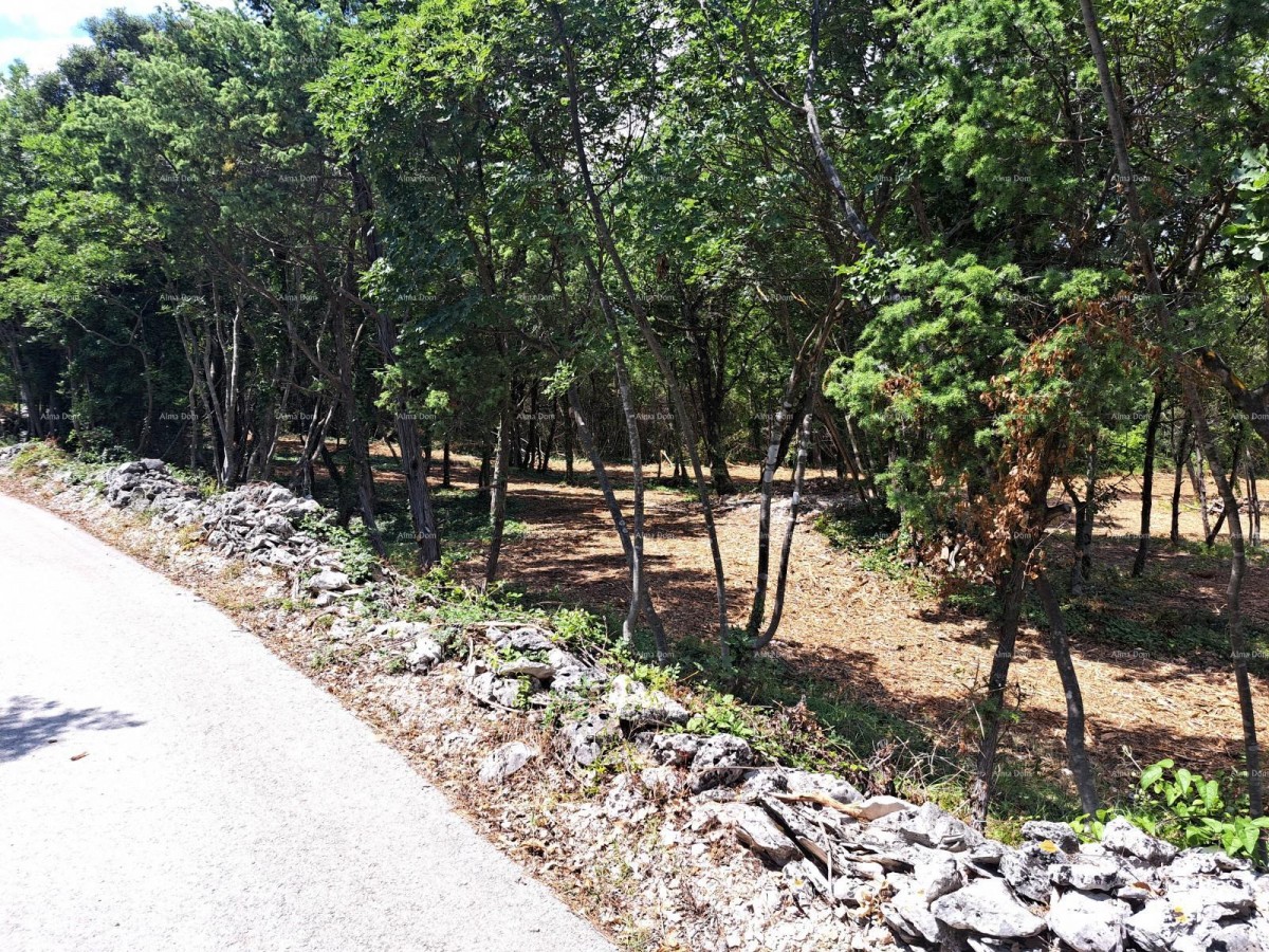 Plot Marčana 2