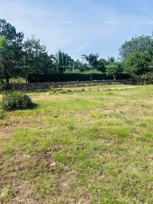 Буе – Самостоятельный дом с оливковым садом и строительным участком 13