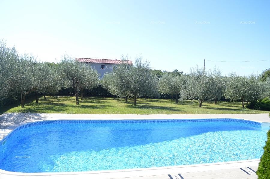 Beautiful house with swimming pool! 30