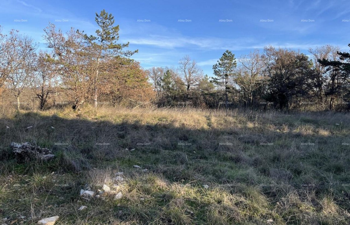 Jurcanija, Buje. Building land with a panoramic view 4