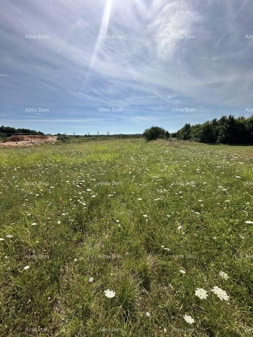 Prodaje se građevinsko zemljište, 5832m2, Barban 5